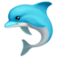 🐬